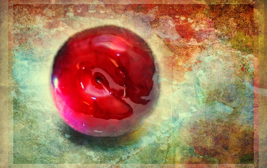Portraits of a Plum, Fruit portraiture, photographed by professional Indian fine art photographer Naina