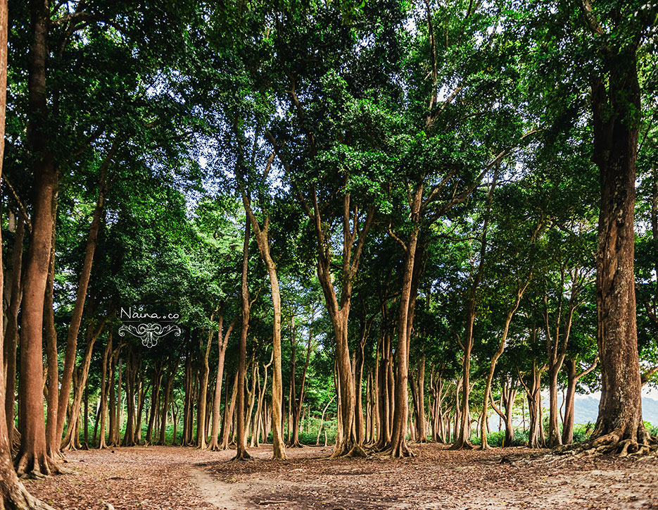 Andaman Islands, Havelock, Barefoot Resort vacation and travel photography as captured by photographer Naina Redhu.