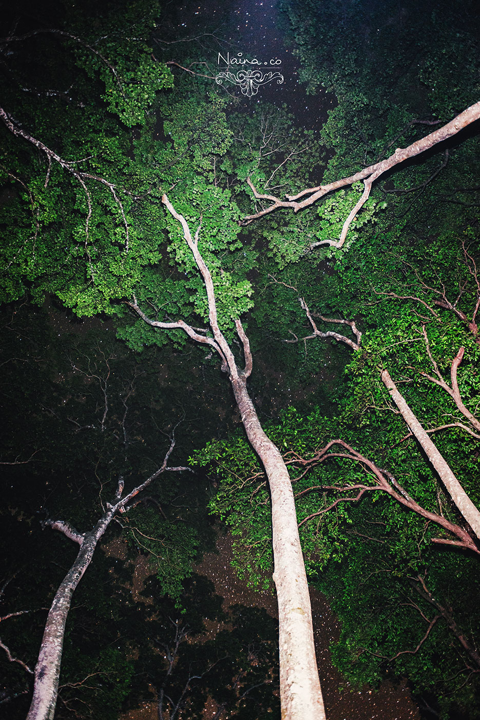 Andaman Islands, Havelock, Barefoot Resort vacation and travel photography as captured by photographer Naina Redhu.