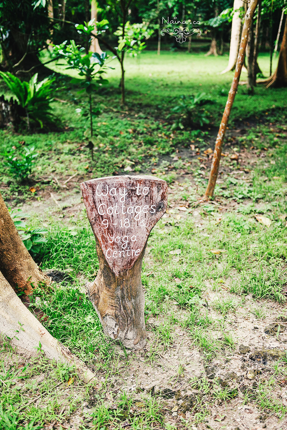 Andaman Islands, Havelock, Barefoot Resort vacation and travel photography as captured by photographer Naina Redhu.