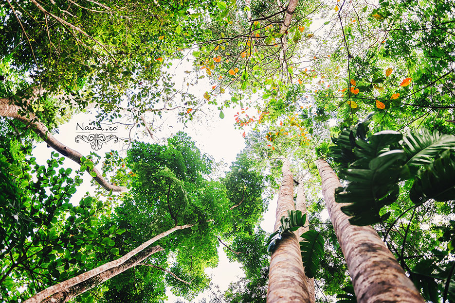 Andaman Islands, Havelock, Barefoot Resort vacation and travel photography as captured by photographer Naina Redhu.