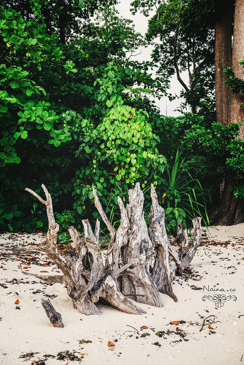 Andaman Islands, Havelock, Barefoot Resort vacation and travel photography as captured by photographer Naina Redhu.