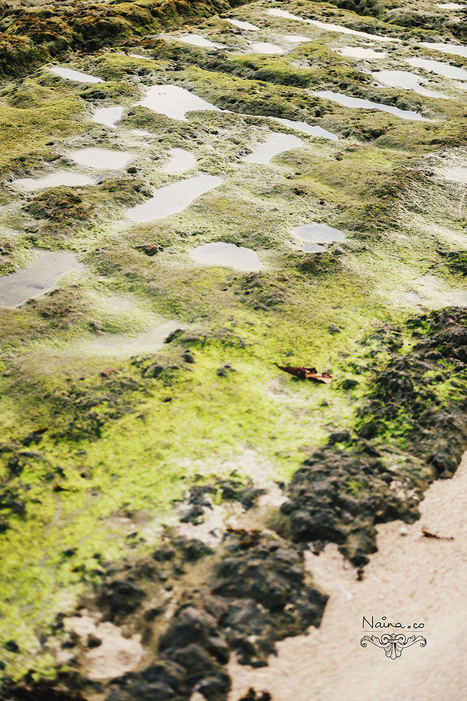 Andaman Islands, Havelock, Barefoot Resort vacation and travel photography as captured by photographer Naina Redhu.