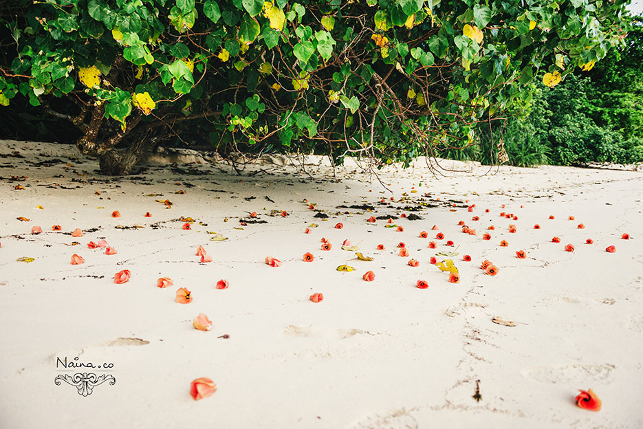 Andaman Islands, Havelock, Barefoot Resort vacation and travel photography as captured by photographer Naina Redhu.