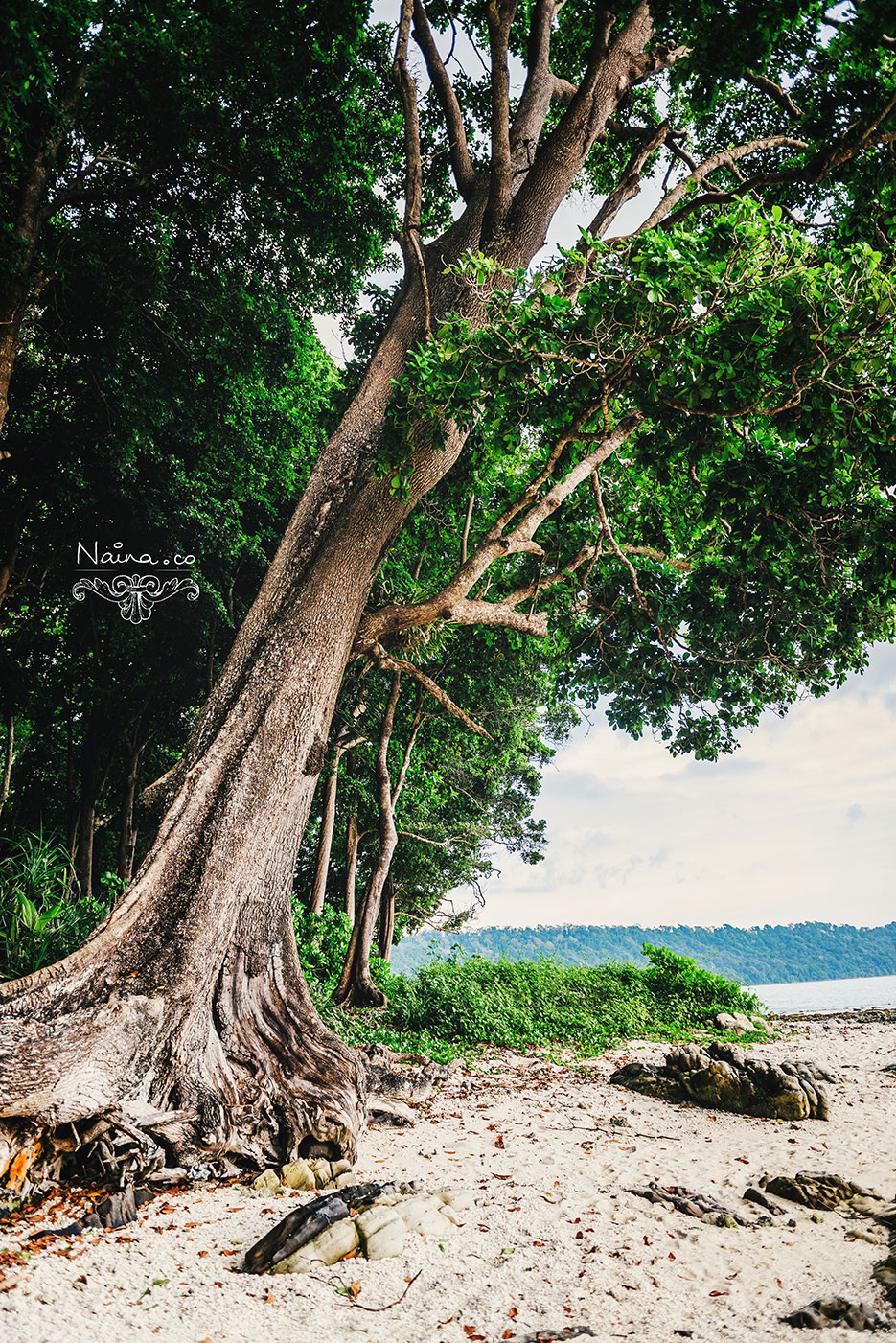 Andaman Islands, Havelock, Barefoot Resort vacation and travel photography as captured by photographer Naina Redhu.