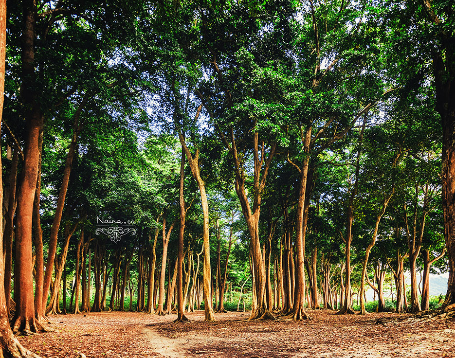 Andaman Islands, Havelock, Barefoot Resort vacation and travel photography as captured by photographer Naina Redhu.