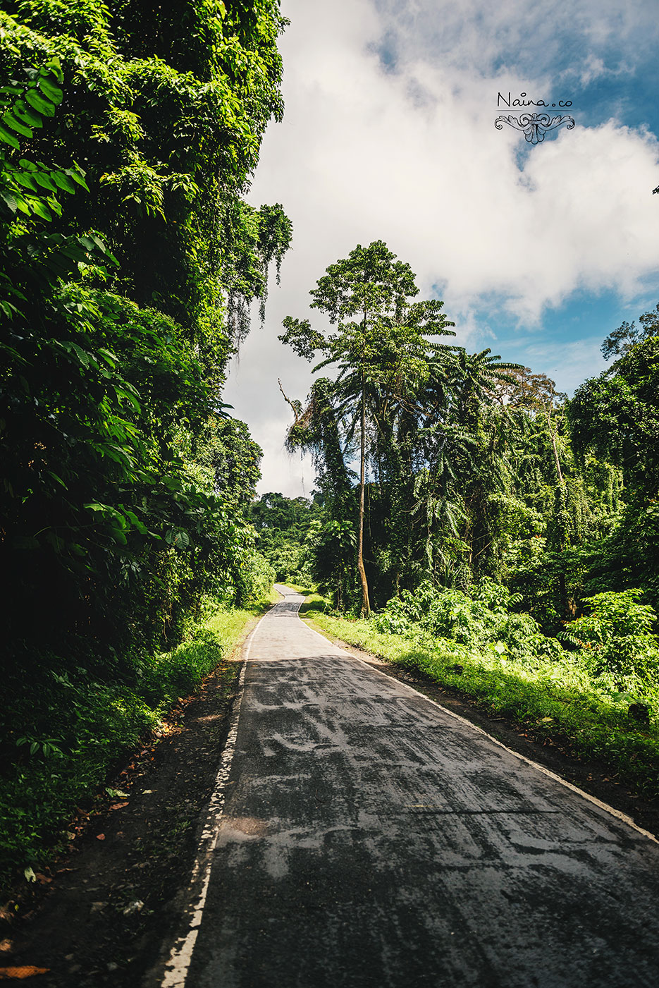 Andaman Islands, Havelock, Barefoot Resort vacation and travel photography as captured by photographer Naina Redhu.