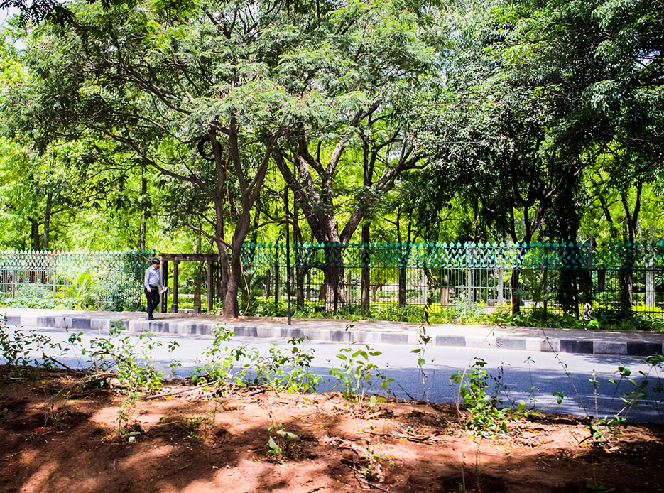 Bangalore city Day 08 Walls on Roads, Streets. Photography by professional Indian lifestyle photographer Naina Redhu of Naina.co