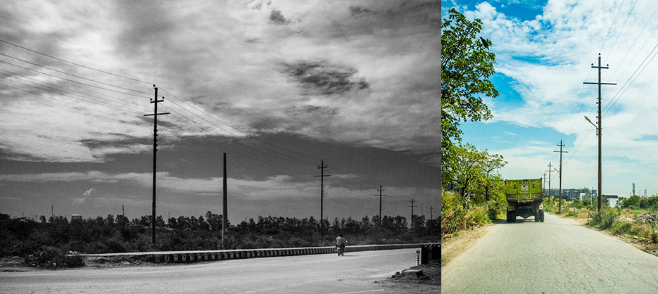 Noida streets and foliage during a walk. Photography by professional Indian lifestyle photographer Naina Redhu of Naina.co