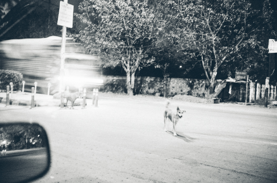 Streets of Noida at night. Street Photography by professional Indian lifestyle photographer Naina Redhu of Naina.co