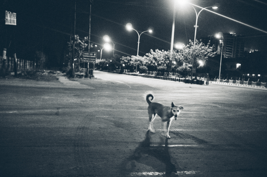 Streets of Noida at night. Street Photography by professional Indian lifestyle photographer Naina Redhu of Naina.co