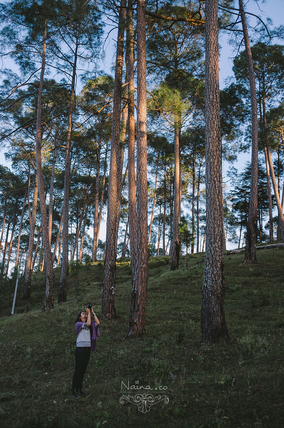 Ranikhet, Uttarakhand vacation and travel photography as captured by photographer Naina Redhu.