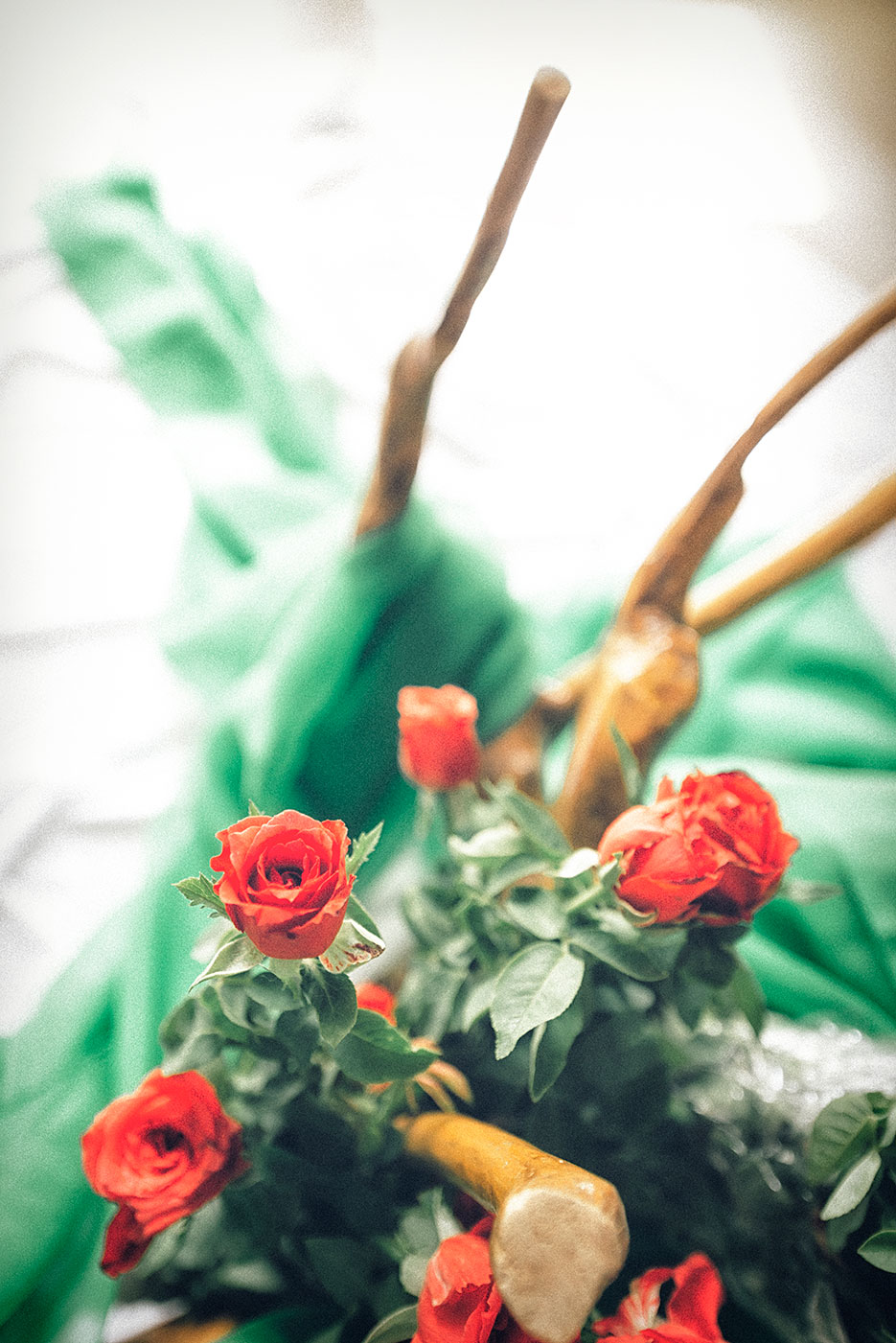 Roses and a self portrait. Flowers & portraiture photography by professional Indian lifestyle photographer Naina Redhu of Naina.co