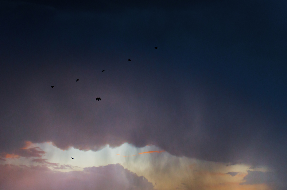 Storm clouds, sunset and rain. Photography by professional Indian lifestyle photographer Naina Redhu of Naina.co