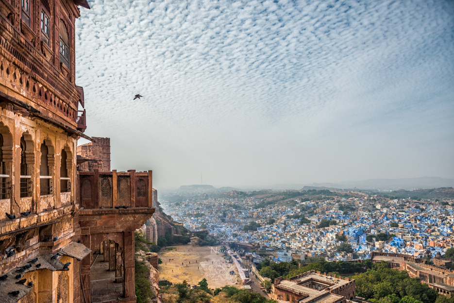 Royal Salute Maharaja of Jodhpur Diamond Jubilee Cup, Meherangarh Fort, Rajasthan, photographed by Lifestyle photographer, blogger Naina Redhu of Naina.co