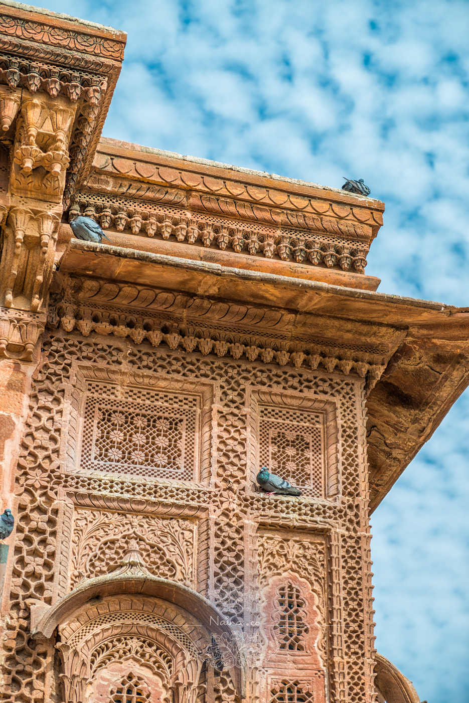 Royal Salute Maharaja of Jodhpur Diamond Jubilee Cup, Meherangarh Fort, Rajasthan, photographed by Lifestyle photographer, blogger Naina Redhu of Naina.co