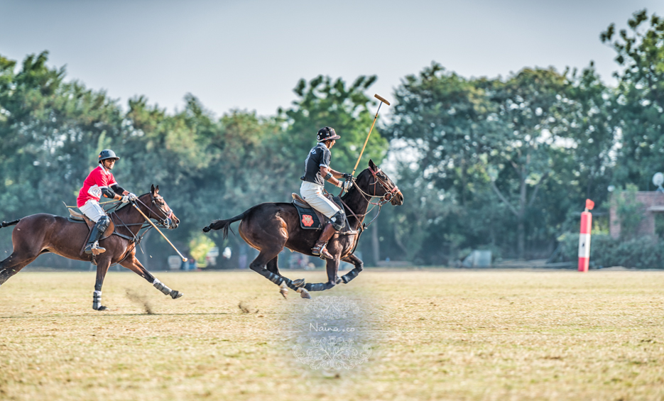 Vintage Car Rally, Royal Salute Maharaja of Jodhpur Diamond Jubilee Cup Polo Match, Umaid Bhavan, Rajasthan, photographed by Lifestyle photographer, blogger Naina Redhu of Naina.co