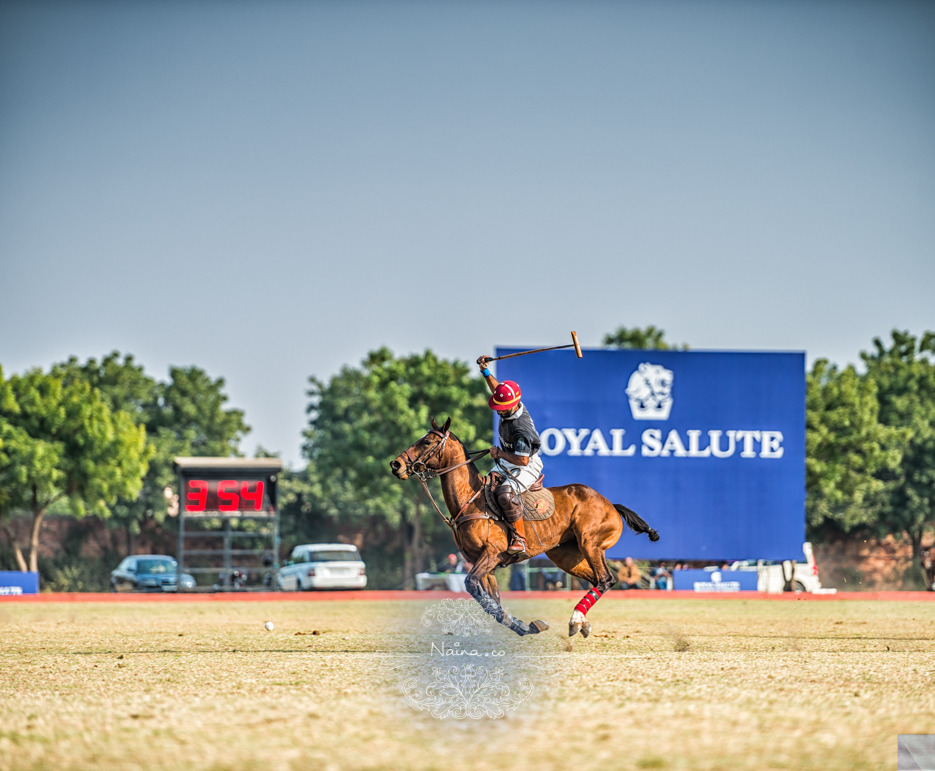 Vintage Car Rally, Royal Salute Maharaja of Jodhpur Diamond Jubilee Cup Polo Match, Umaid Bhavan, Rajasthan, photographed by Lifestyle photographer, blogger Naina Redhu of Naina.co