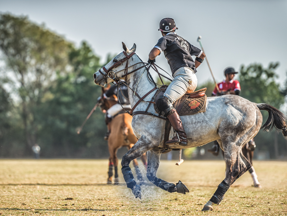 Vintage Car Rally, Royal Salute Maharaja of Jodhpur Diamond Jubilee Cup Polo Match, Umaid Bhavan, Rajasthan, photographed by Lifestyle photographer, blogger Naina Redhu of Naina.co