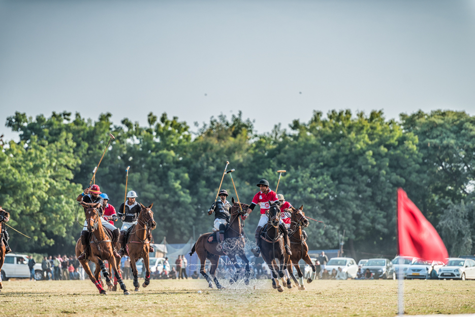 Vintage Car Rally, Royal Salute Maharaja of Jodhpur Diamond Jubilee Cup Polo Match, Umaid Bhavan, Rajasthan, photographed by Lifestyle photographer, blogger Naina Redhu of Naina.co