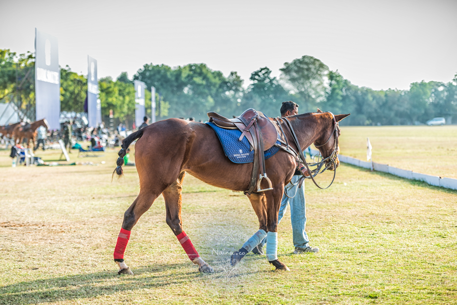 Vintage Car Rally, Royal Salute Maharaja of Jodhpur Diamond Jubilee Cup Polo Match, Umaid Bhavan, Rajasthan, photographed by Lifestyle photographer, blogger Naina Redhu of Naina.co