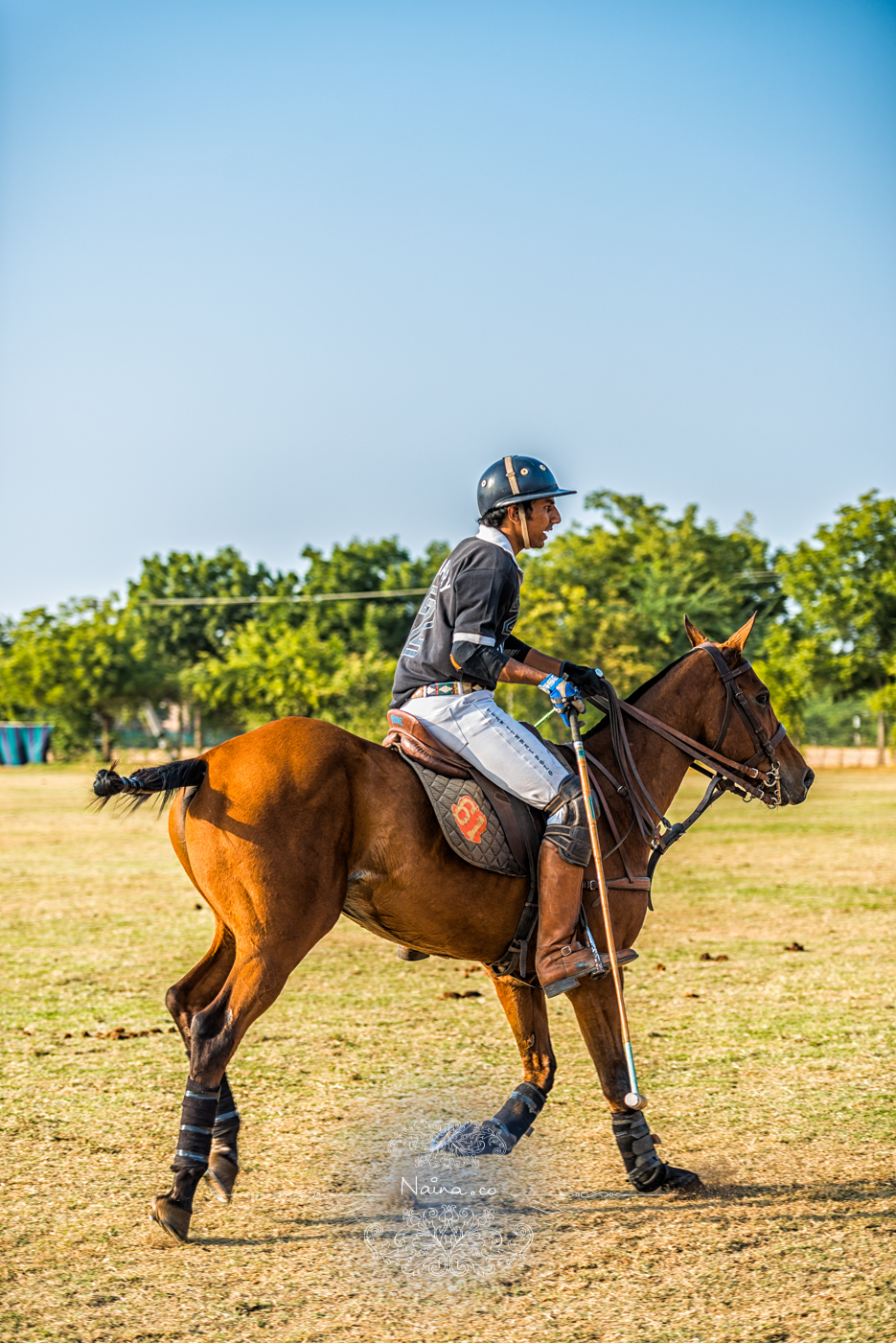 Vintage Car Rally, Royal Salute Maharaja of Jodhpur Diamond Jubilee Cup Polo Match, Umaid Bhavan, Rajasthan, photographed by Lifestyle photographer, blogger Naina Redhu of Naina.co