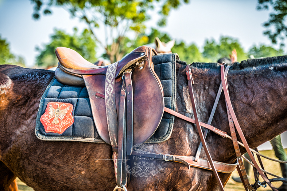 Vintage Car Rally, Royal Salute Maharaja of Jodhpur Diamond Jubilee Cup Polo Match, Umaid Bhavan, Rajasthan, photographed by Lifestyle photographer, blogger Naina Redhu of Naina.co