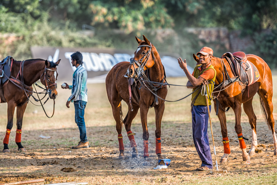 Vintage Car Rally, Royal Salute Maharaja of Jodhpur Diamond Jubilee Cup Polo Match, Umaid Bhavan, Rajasthan, photographed by Lifestyle photographer, blogger Naina Redhu of Naina.co