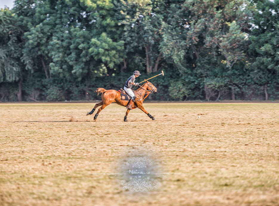 Vintage Car Rally, Royal Salute Maharaja of Jodhpur Diamond Jubilee Cup Polo Match, Umaid Bhavan, Rajasthan, photographed by Lifestyle photographer, blogger Naina Redhu of Naina.co