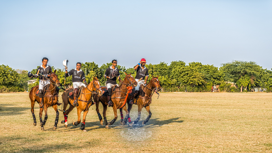 Vintage Car Rally, Royal Salute Maharaja of Jodhpur Diamond Jubilee Cup Polo Match, Umaid Bhavan, Rajasthan, photographed by Lifestyle photographer, blogger Naina Redhu of Naina.co