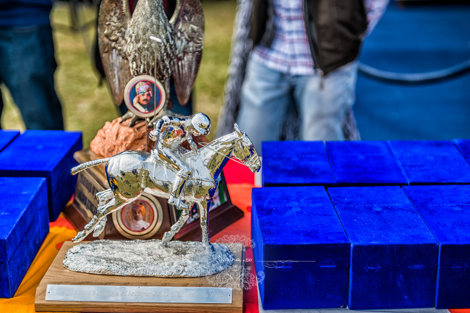 Vintage Car Rally, Royal Salute Maharaja of Jodhpur Diamond Jubilee Cup Polo Match, Umaid Bhavan, Rajasthan, photographed by Lifestyle photographer, blogger Naina Redhu of Naina.co