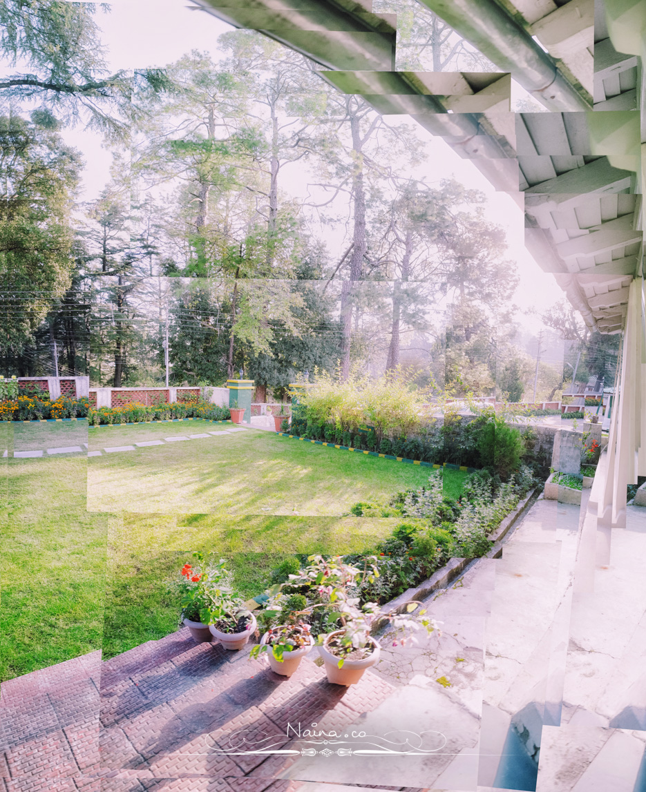 Ranikhet, Uttarakhand, Travel & Leisure Photography in the hills, photographed by Lifestyle & Luxury photographer & blogger Naina Redhu of Naina.co