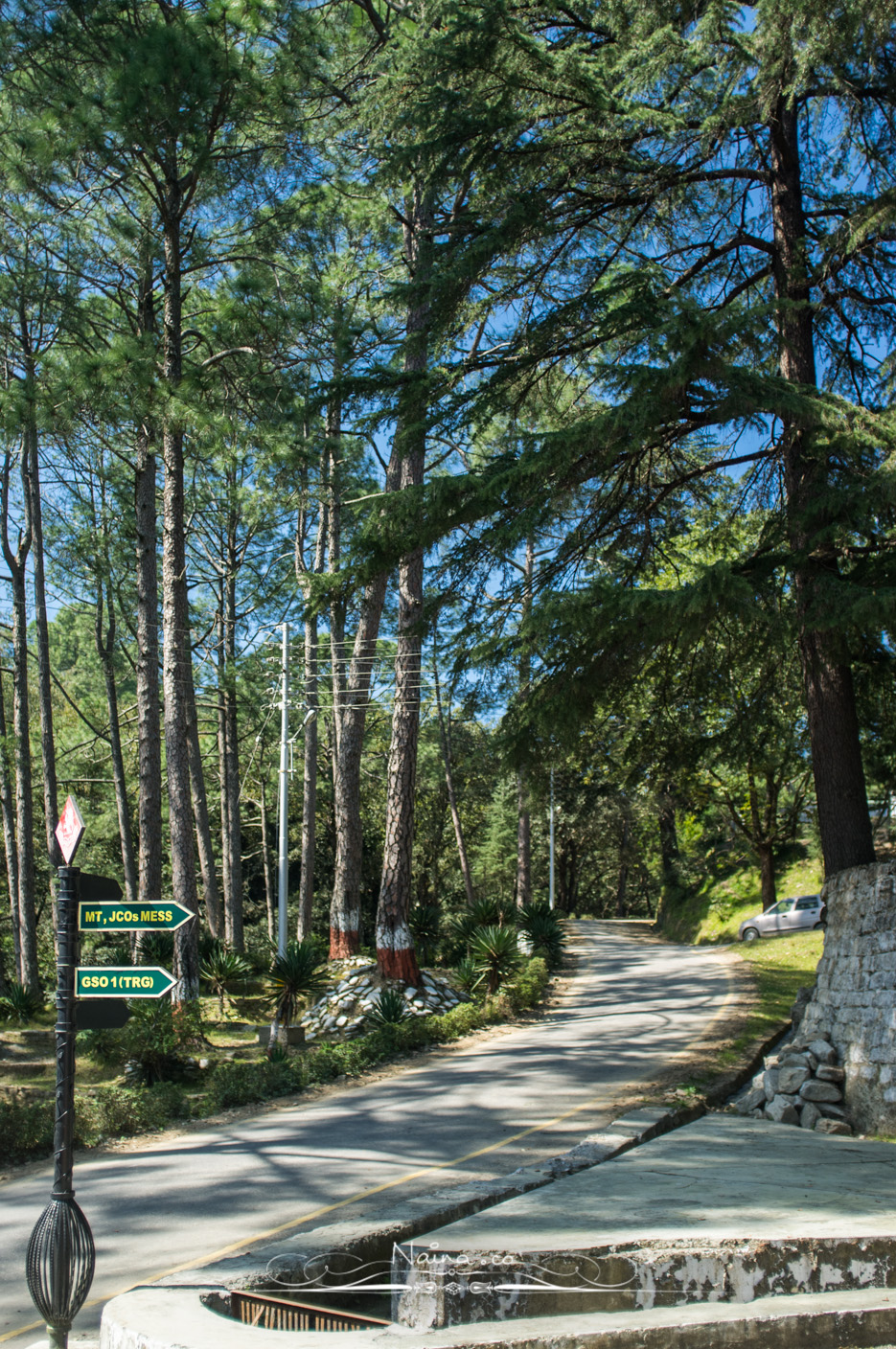 Ranikhet, Uttarakhand, Travel & Leisure Photography in the hills, photographed by Lifestyle & Luxury photographer & blogger Naina Redhu of Naina.co