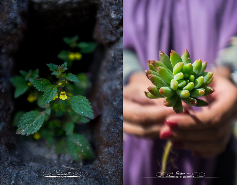 Ranikhet, Uttarakhand, Travel & Leisure Photography in the hills, photographed by Lifestyle & Luxury photographer & blogger Naina Redhu of Naina.co