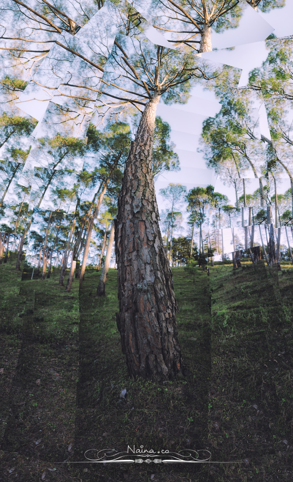 Ranikhet, Uttarakhand, Travel & Leisure Photography in the hills, photographed by Lifestyle & Luxury photographer & blogger Naina Redhu of Naina.co