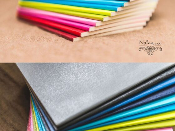 Moleskine-Color-A-Month-Daily-Diary-Planner-2013-Lifestyle-Photographer-Naina.co-Photography