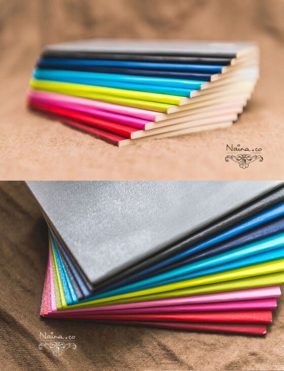 Moleskine-Color-A-Month-Daily-Diary-Planner-2013-Lifestyle-Photographer-Naina.co-Photography