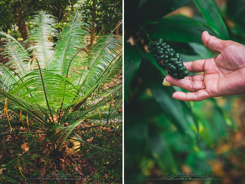 Barefoot Resorts Havelock Radhanagar Beach Andaman Islands Travel Lifestyle Photographer Blogger Naina.co Photography