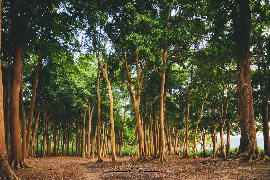 Barefoot Resorts Havelock Radhanagar Beach Andaman Islands Travel Lifestyle Photographer Blogger Naina.co Photography