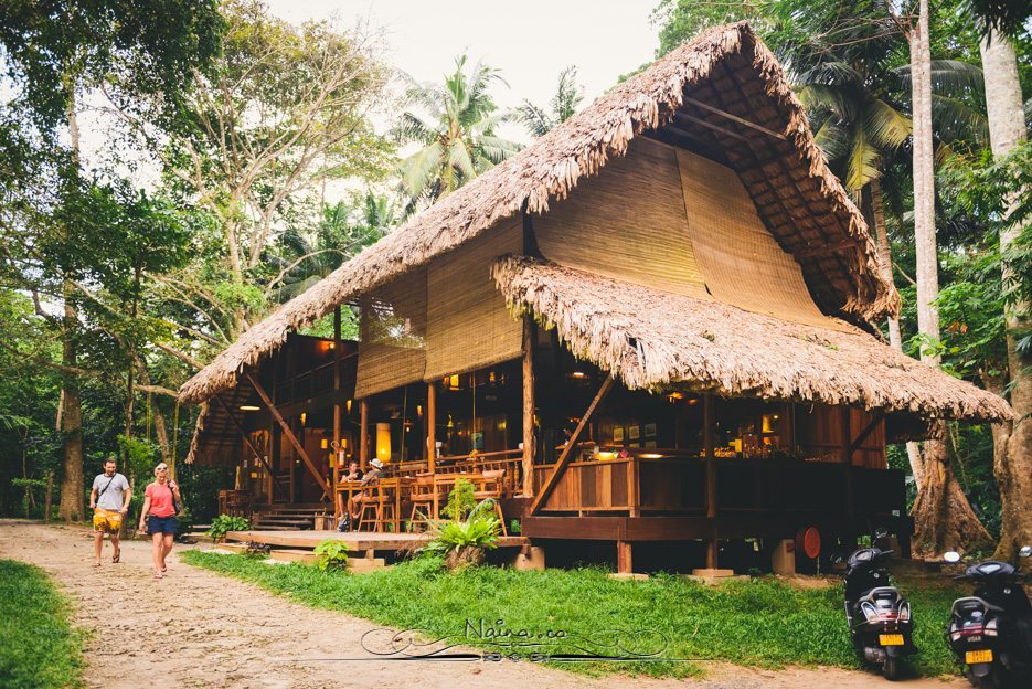 Barefoot Resorts Havelock Radhanagar Beach Andaman Islands Travel Lifestyle Photographer Blogger Naina.co Photography