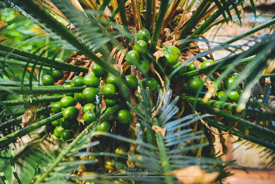 Barefoot Resorts Havelock Radhanagar Beach Andaman Islands Travel Lifestyle Photographer Blogger Naina.co Photography