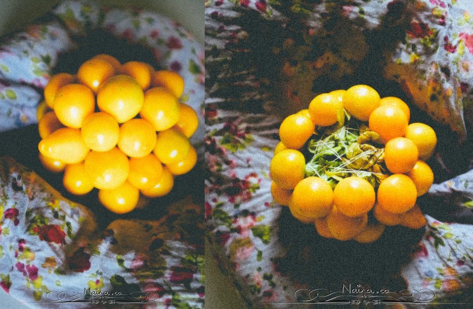 Physalis Berries Fine Art Food Photography, Lifestyle Photographer & Blogger Naina.co