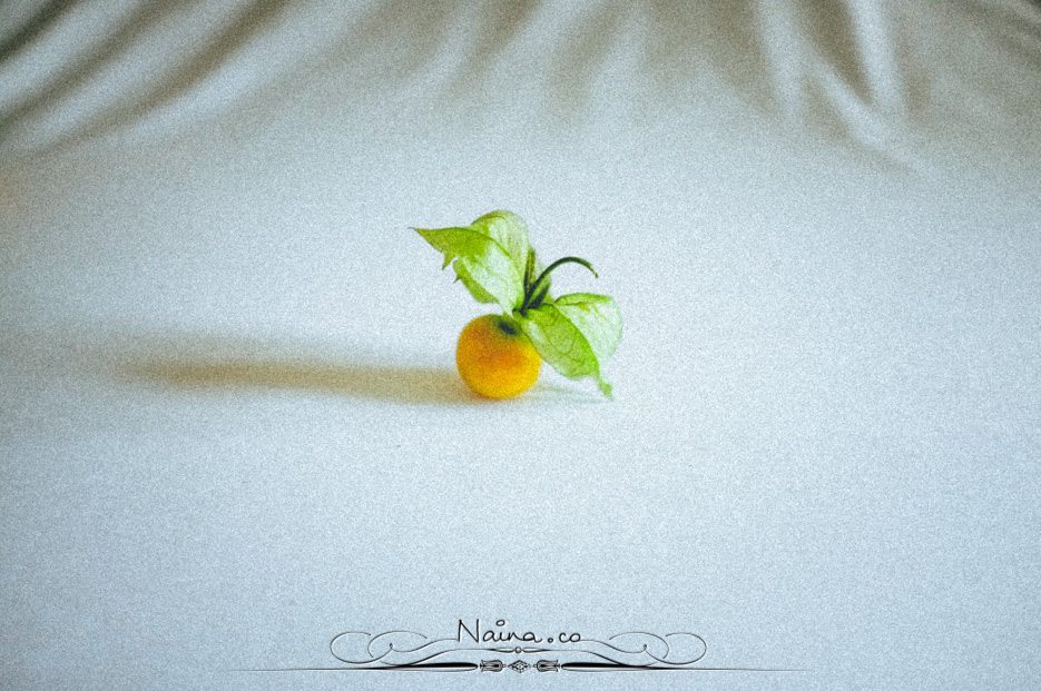 Physalis Berries Fine Art Food Photography, Lifestyle Photographer & Blogger Naina.co