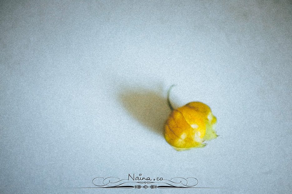 Physalis Berries Fine Art Food Photography, Lifestyle Photographer & Blogger Naina.co