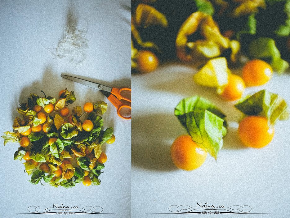 Physalis Berries Fine Art Food Photography, Lifestyle Photographer & Blogger Naina.co