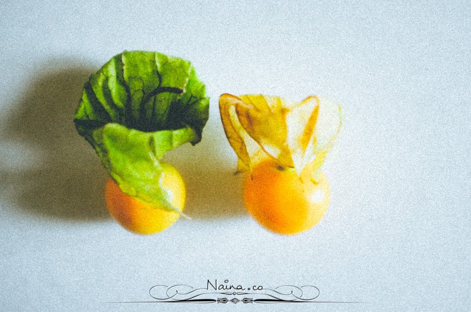 Physalis Berries Fine Art Food Photography, Lifestyle Photographer & Blogger Naina.co