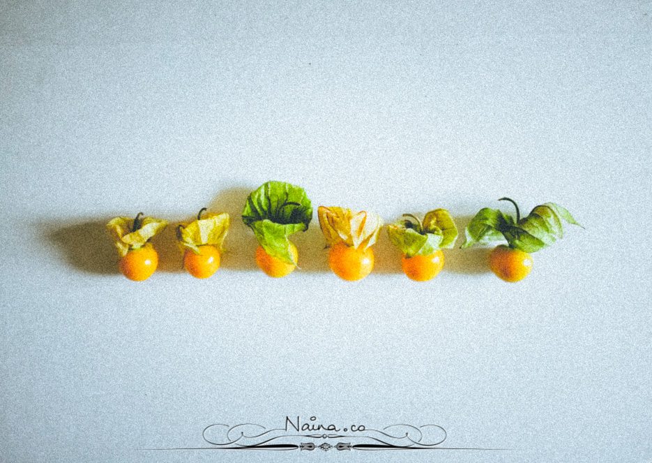 Physalis Berries Fine Art Food Photography, Lifestyle Photographer & Blogger Naina.co