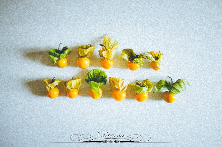 Physalis Berries Fine Art Food Photography, Lifestyle Photographer & Blogger Naina.co