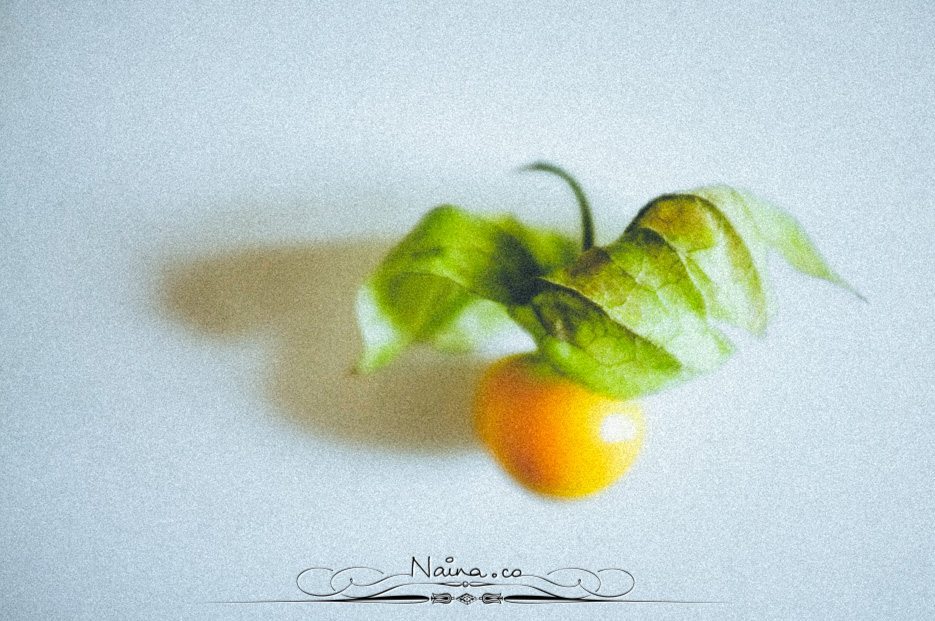 Physalis Berries Fine Art Food Photography, Lifestyle Photographer & Blogger Naina.co