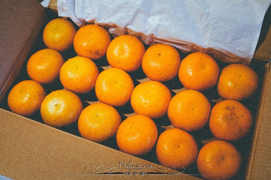 Stack of Oranges, Chicken Parsley Peas, Lifestyle Photographer Naina.co